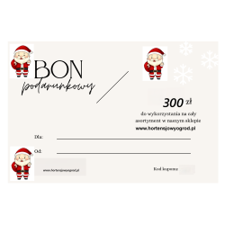 BON PODARUNKOWY 300ZŁ