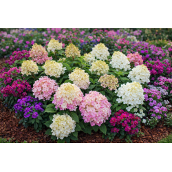 Fire Light Tiny Bit 3l -...