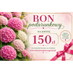 BON PODARUNKOWY 150ZŁ