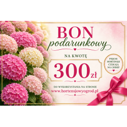 BON PODARUNKOWY 300ZŁ