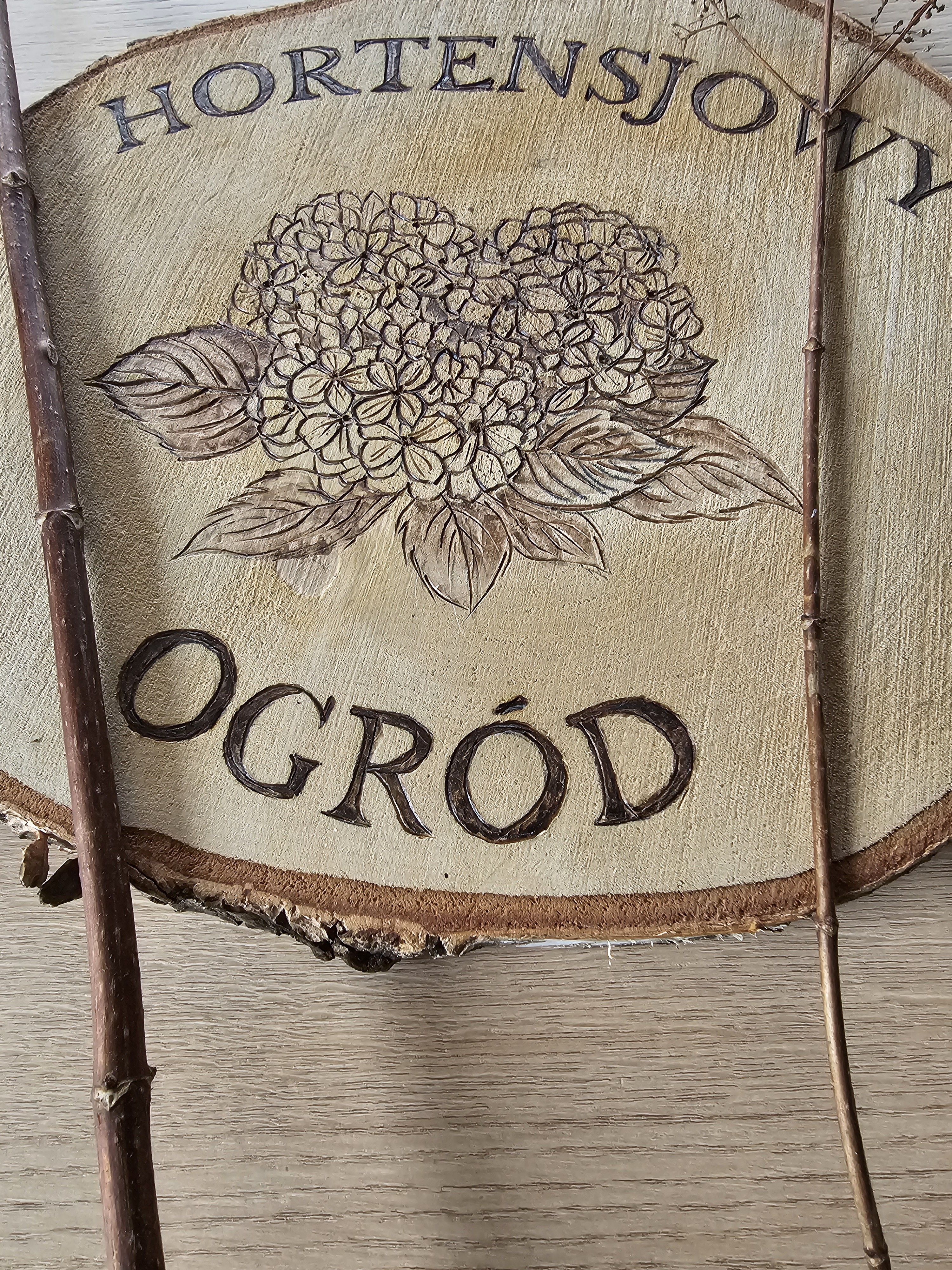 Cięcie różnych gatunków hortensji.