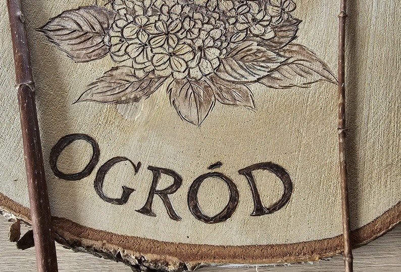 Cięcie różnych gatunków hortensji.